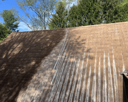 ROOF WASHING